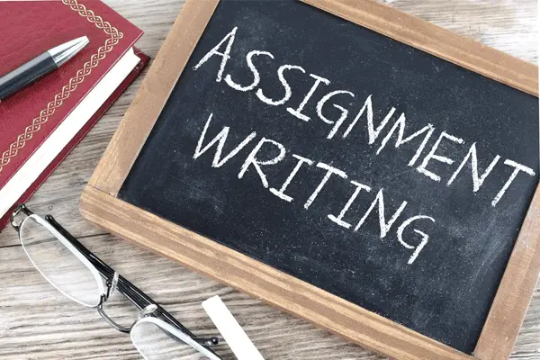 Assignment Writing for College Students